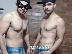 2MALEGYM