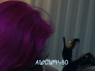 AWCW9480