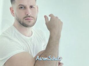 AaronSchulz