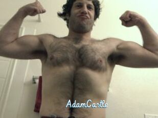 AdamCastle