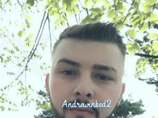 Andrewinked2