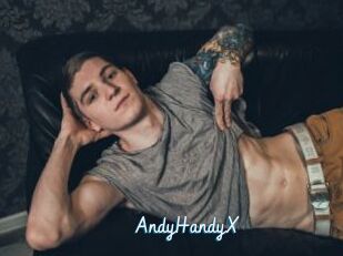 AndyHandyX