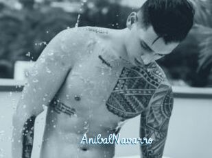 AnibalNavarro