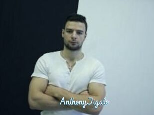 AnthonyJigalo