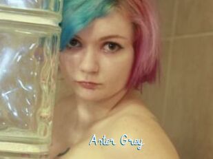 Aster_Grey