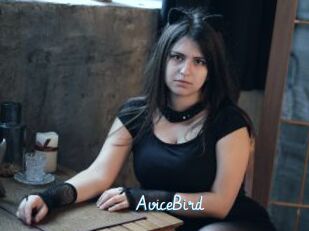 AviceBird