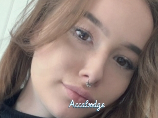 Accabodge