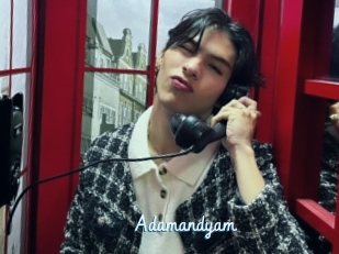 Adamandyam