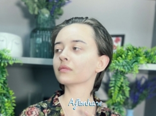 Aftonhase