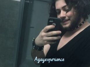 Agayexperience