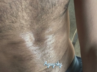 Aguysky