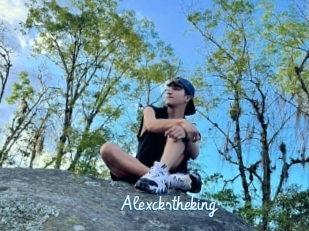 Alexckstheking