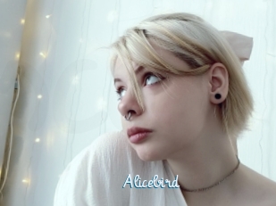 Alicebird