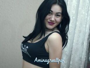 Aminagreattpvt