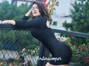 Andinacooper