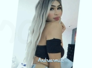 Andreasmiitt