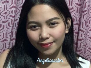 Angelicacator