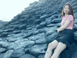 Aniekim