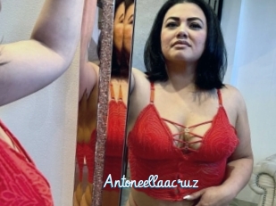 Antoneellaacruz