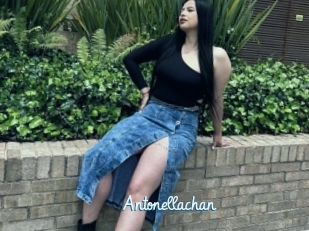 Antonellachan