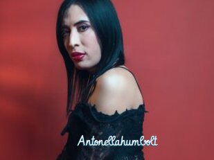 Antonellahumbolt