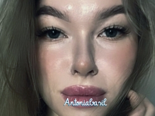 Antoniabasil