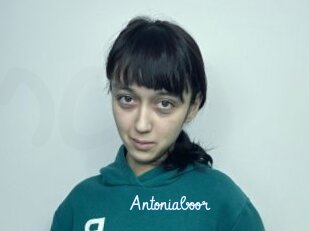 Antoniaboor