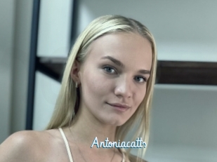 Antoniacatts