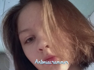 Antoniacrammer