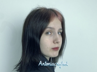 Antoniacrofoot