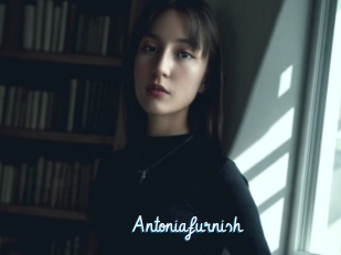 Antoniafurnish