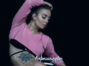 Antonianipples