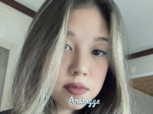 Arabigge