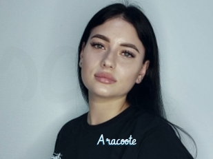 Aracoote