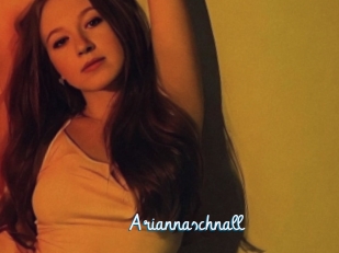 Ariannaschnall