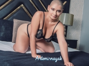 Artemisnayak