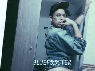 BLUEFOOSTER