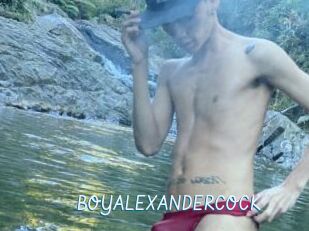 BOYALEXANDERCOCK