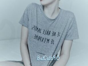 BatCat690