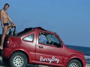 BerryBoy