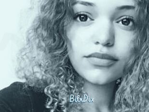 BibiDix