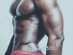 BigSnack42300