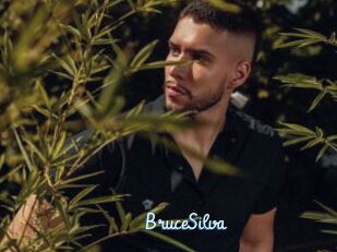 BruceSilva