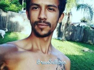 Bruce_Sullivan