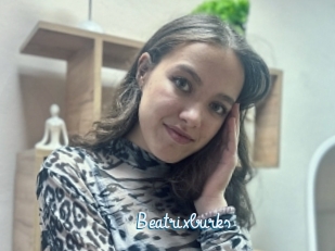 Beatrixburks