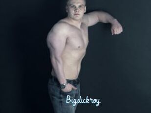 Bigdickroy