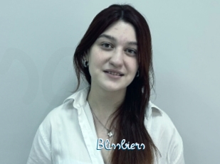 Blissbiers