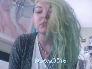 Bluebird0316