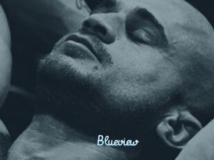 Blueview