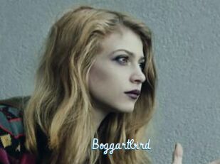 Boggartbird